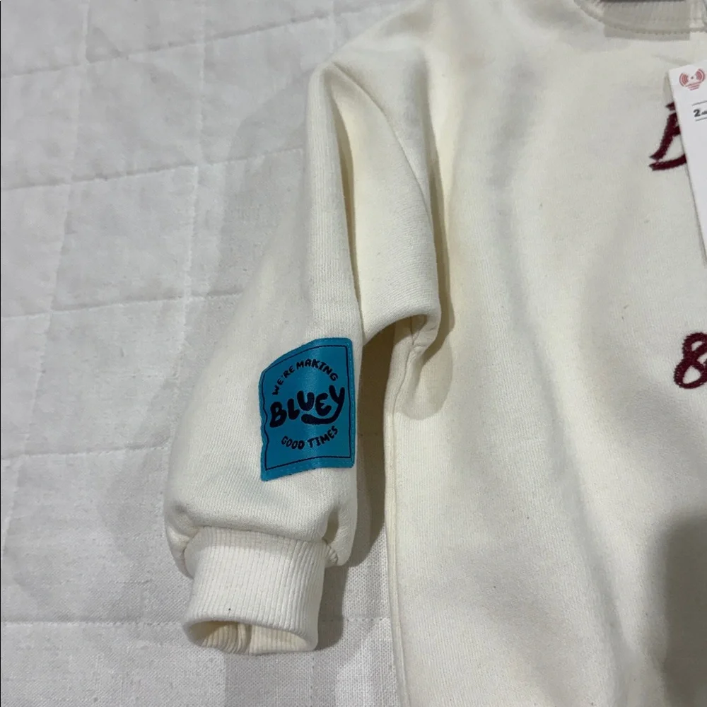 Zara Bluey Sweatshirt